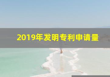 2019年发明专利申请量