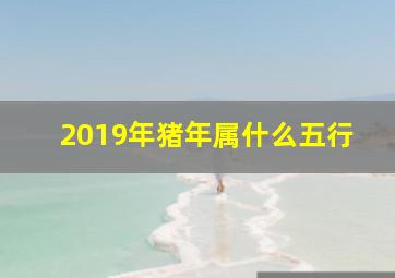 2019年猪年属什么五行