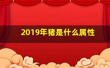 2019年猪是什么属性