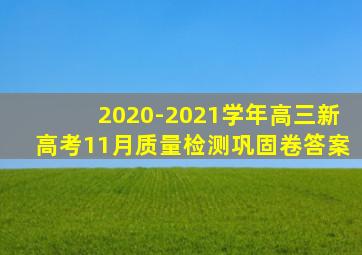 2020-2021学年高三新高考11月质量检测巩固卷答案