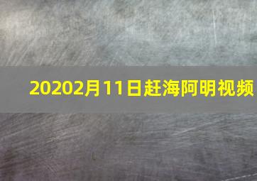 20202月11日赶海阿明视频