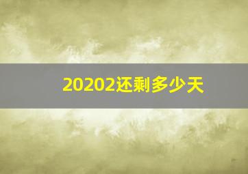 20202还剩多少天