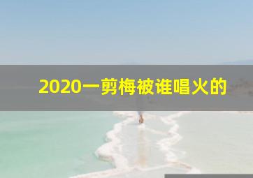 2020一剪梅被谁唱火的