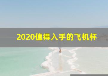 2020值得入手的飞机杯