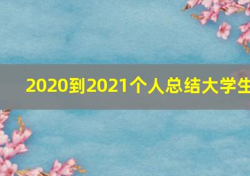 2020到2021个人总结大学生