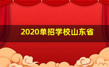 2020单招学校山东省