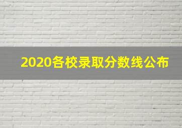 2020各校录取分数线公布