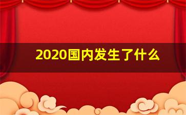 2020国内发生了什么