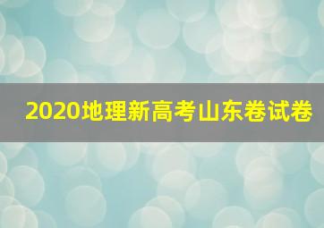 2020地理新高考山东卷试卷