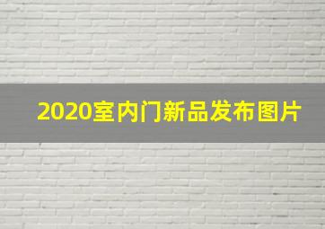 2020室内门新品发布图片