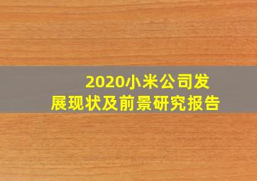 2020小米公司发展现状及前景研究报告