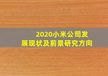 2020小米公司发展现状及前景研究方向