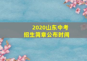 2020山东中考招生简章公布时间