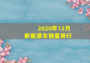 2020年12月新能源车销量排行