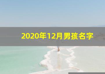 2020年12月男孩名字