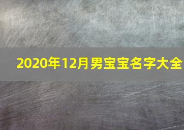 2020年12月男宝宝名字大全