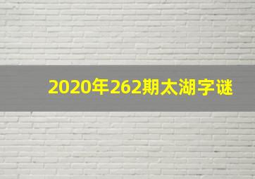 2020年262期太湖字谜