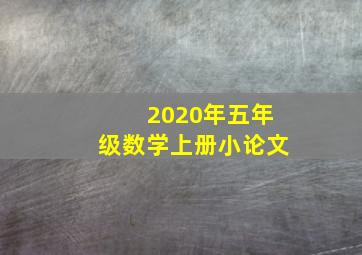 2020年五年级数学上册小论文