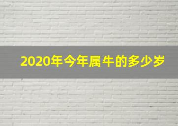 2020年今年属牛的多少岁