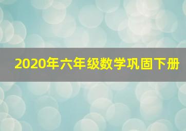 2020年六年级数学巩固下册