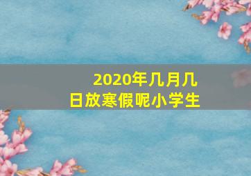 2020年几月几日放寒假呢小学生