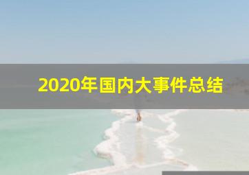 2020年国内大事件总结