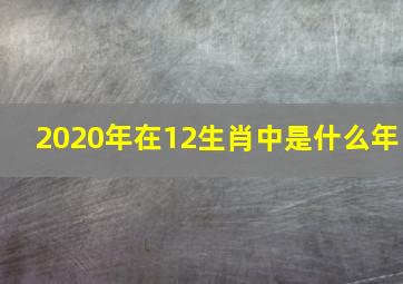 2020年在12生肖中是什么年