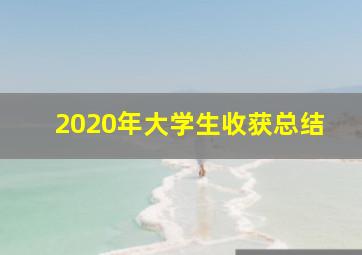 2020年大学生收获总结