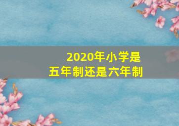 2020年小学是五年制还是六年制