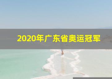 2020年广东省奥运冠军