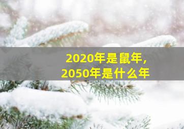 2020年是鼠年,2050年是什么年