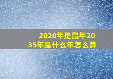 2020年是鼠年2035年是什么年怎么算