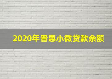 2020年普惠小微贷款余额