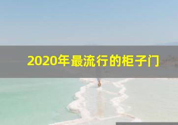 2020年最流行的柜子门