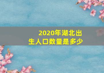 2020年湖北出生人口数量是多少