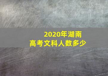 2020年湖南高考文科人数多少