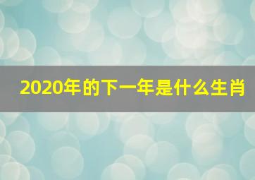 2020年的下一年是什么生肖