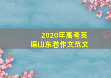 2020年高考英语山东卷作文范文