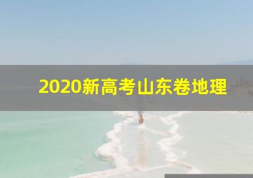 2020新高考山东卷地理