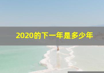 2020的下一年是多少年