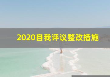 2020自我评议整改措施