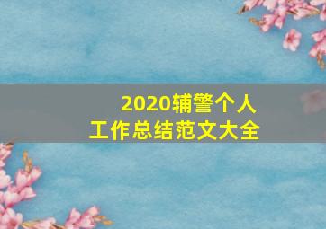 2020辅警个人工作总结范文大全