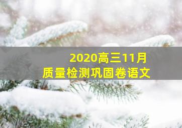 2020高三11月质量检测巩固卷语文