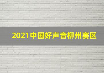 2021中国好声音柳州赛区