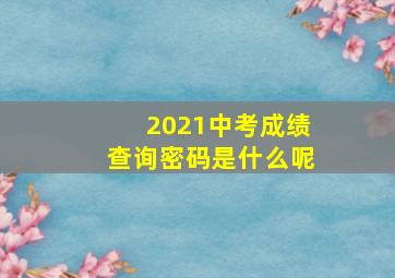 2021中考成绩查询密码是什么呢