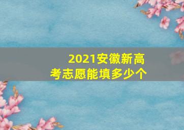 2021安徽新高考志愿能填多少个