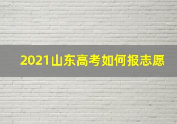 2021山东高考如何报志愿