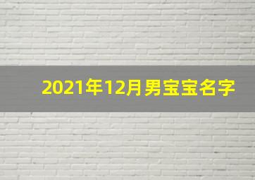 2021年12月男宝宝名字