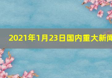 2021年1月23日国内重大新闻