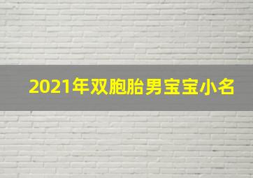 2021年双胞胎男宝宝小名